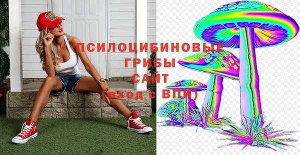 мяу мяу мука Беломорск