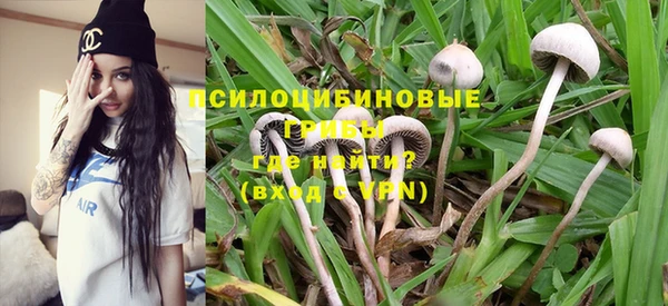 прущие крисы Белоозёрский