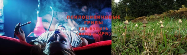 мяу мяу мука Беломорск